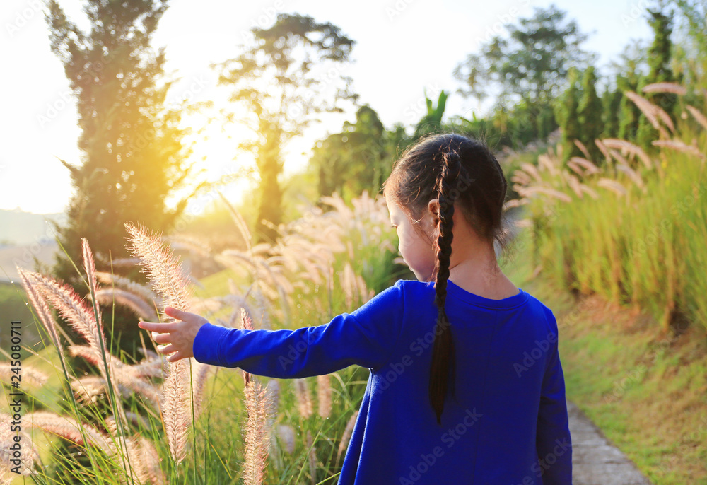 Rear view little child girl using hand to touching wild grass at sunrise. Rear view little child girl using hand to touching wild grass at sunrise.