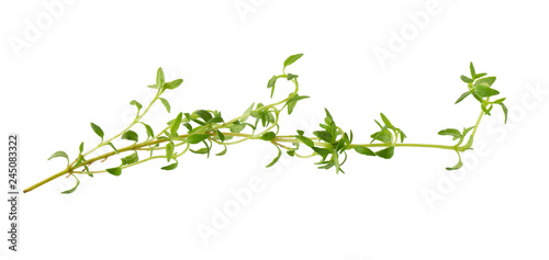 Thyme fresh herb isolated on white background © kaiskynet
