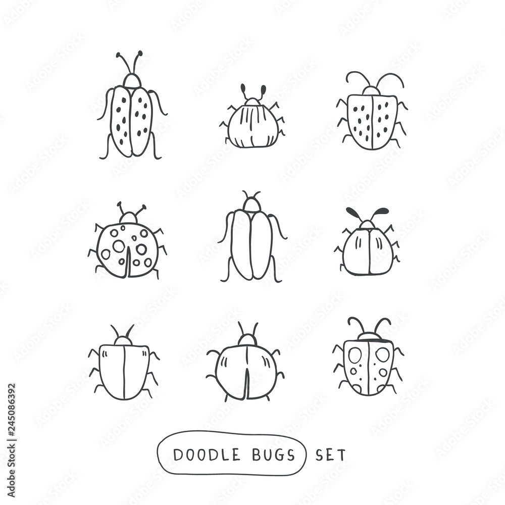 Big line hand drawn doodle set - insects, bugs Stock Vector | Adobe Stock