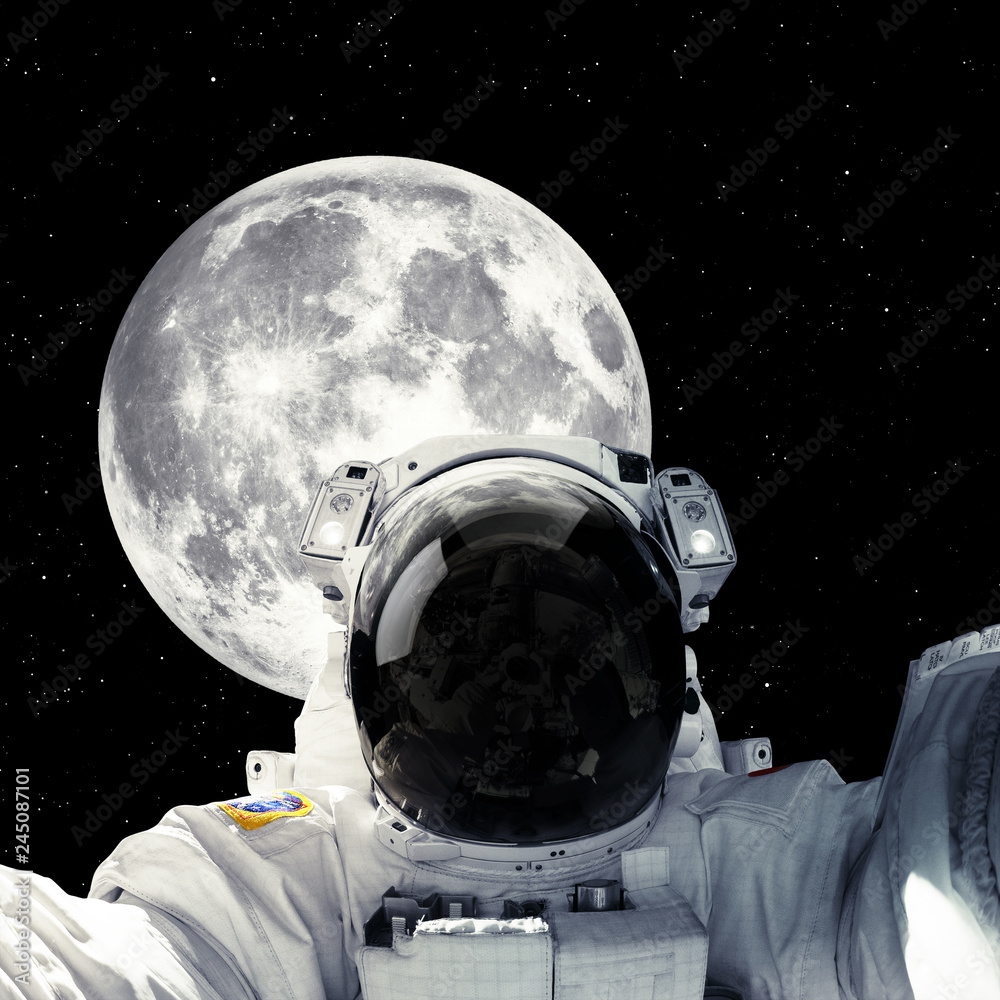 Fototapeta premium Astronaut