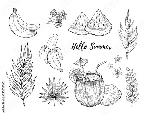 Hello Summer tropic fruit and flower stickers. Banana, coconut cocktail, watermelon, Frangipani, Heliconia palulu. Hand drawn vintage art. Cool doodle vector illustration, icon set on white background
