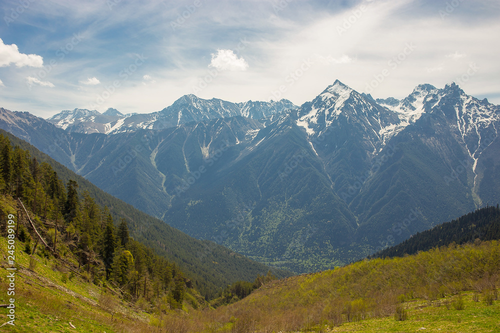 snow-capped mountain peaks against the background of a coniferous forest landscapes of Karachay-Cherkessia in Teberda