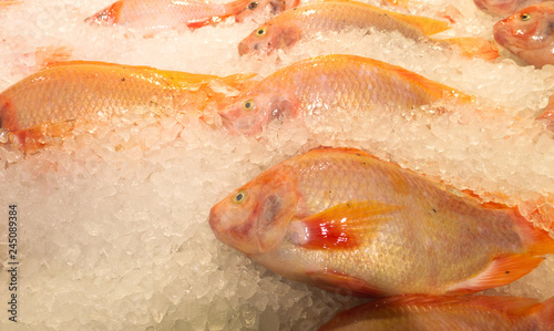 Shiny fresh fish on ice at a super market,close-up view