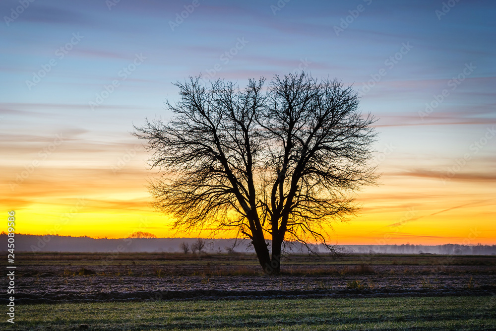 Fototapeta premium Beautiful sunrise over the field, countryside landscape