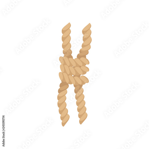 Rope knot, brown jute or hemp twisted cord vector Illustration