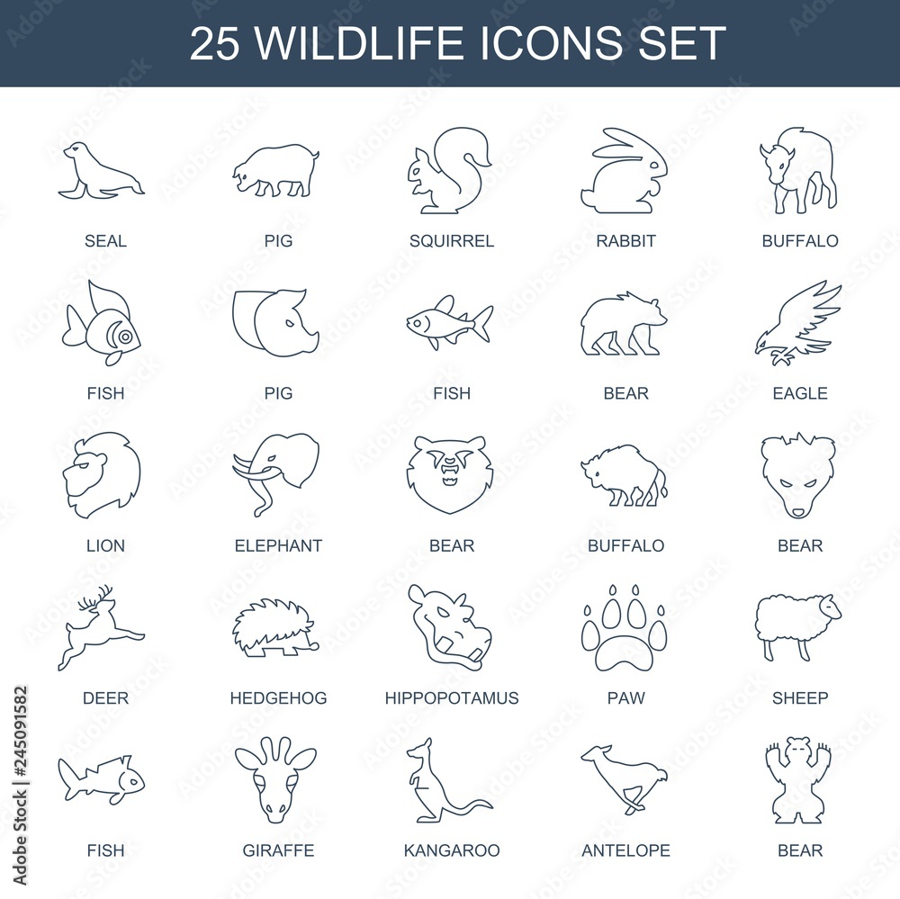 Fototapeta premium wildlife icons