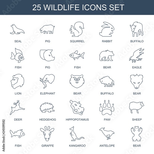 wildlife icons © HN Works