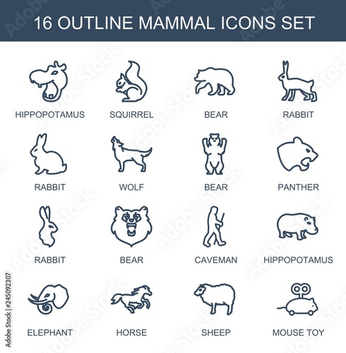 16 mammal icons