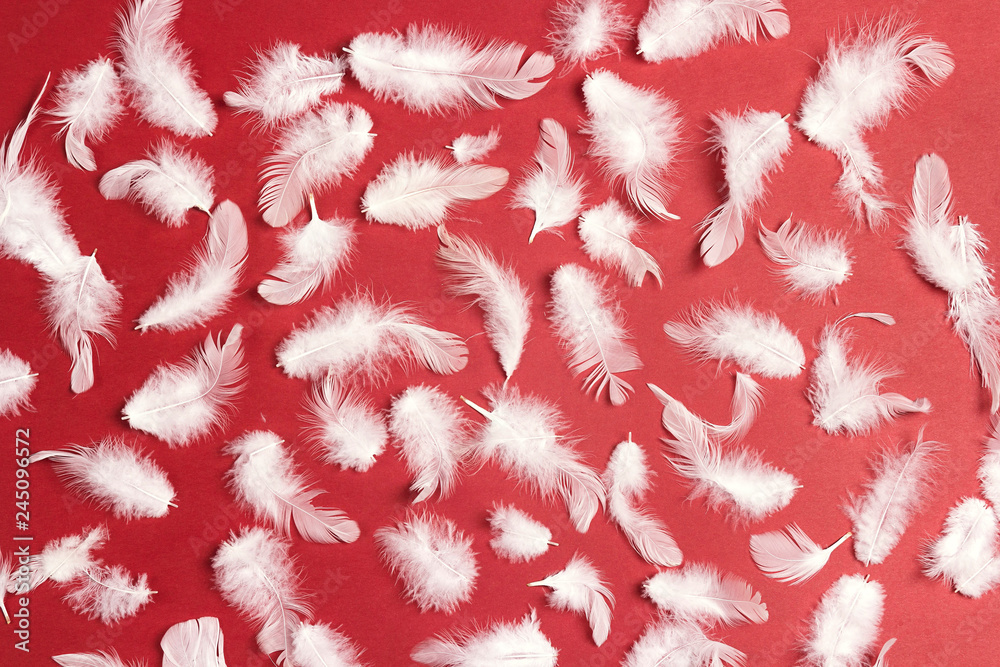 White feather pattern texture on red background.
