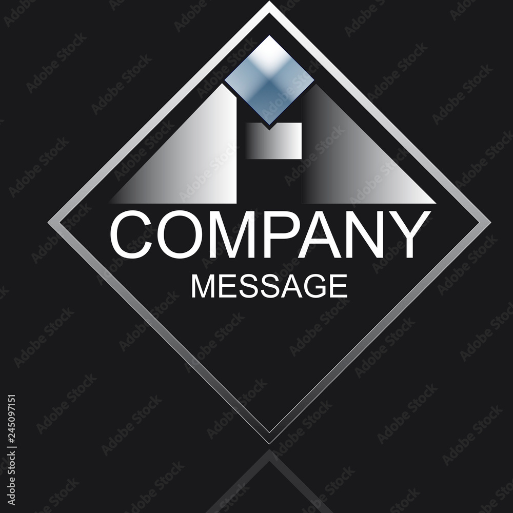 Fototapeta premium H Company SW