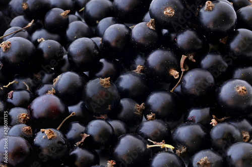 Black currant at a farmers market background