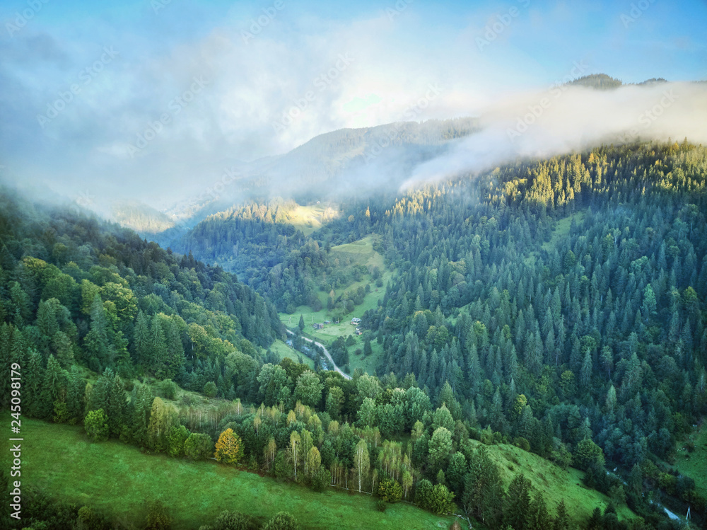 Fototapeta Góry z lasami. góry Karpaty