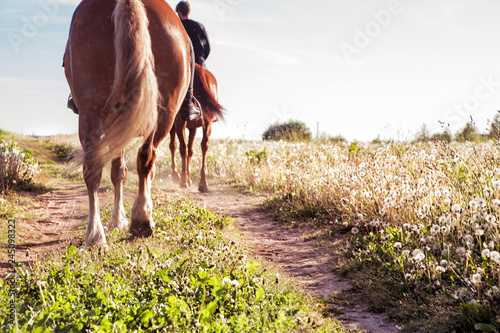 horse ride in sunny weather. Horizontal photo photo