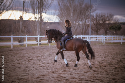Rider riding horse at sunset