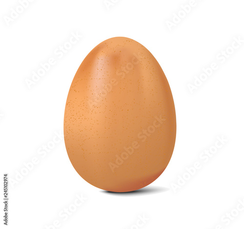 chicken egg isolated on white background, realistic vector illustration