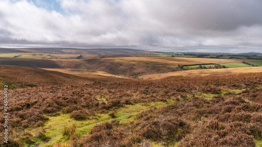 Landscape in the Exmoor National Park between Simonsbath and Hillsford Bridge, Devon, England, UK