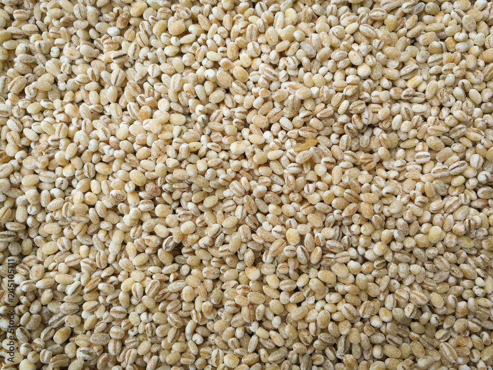 sorghum seed background / grains or cereal sorghum seed pile on the texture background sorghum seed background / grains or cereal sorghum seed pile on the texture background
