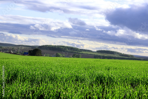 green field and blue sky