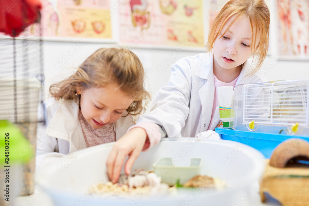 Kinder versorgen Mäuse im Biologie Unterricht Kinder versorgen Mäuse im Biologie Unterricht