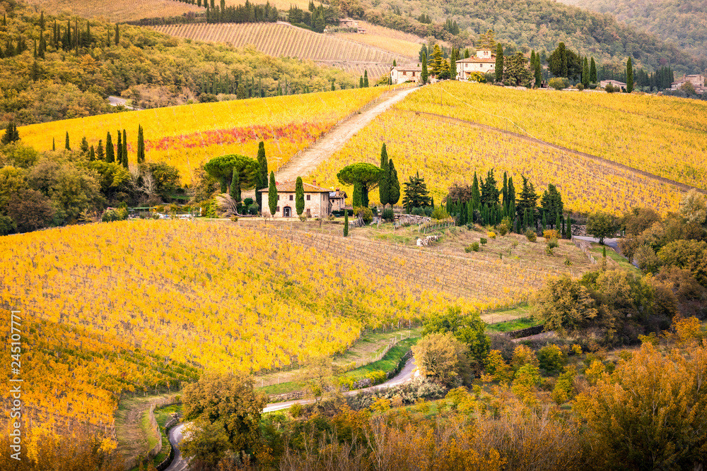 Chianti wineyards during sutumn. Chiantishire, Florence province, Tuscany, Italy