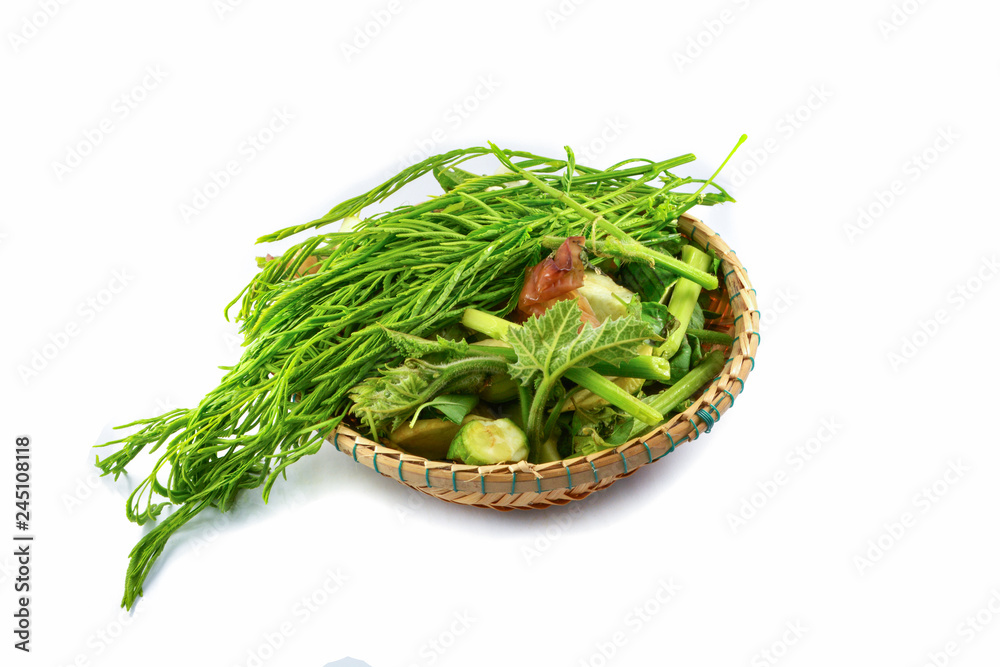 Acacia pennata in threshing basket isolated on white / Climbing Wattle, cha-om and Vegetable on white Acacia pennata in threshing basket isolated on white / Climbing Wattle, cha-om and Vegetable on white