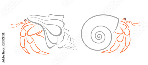 Crab hermit outline. Isolated crab on white background