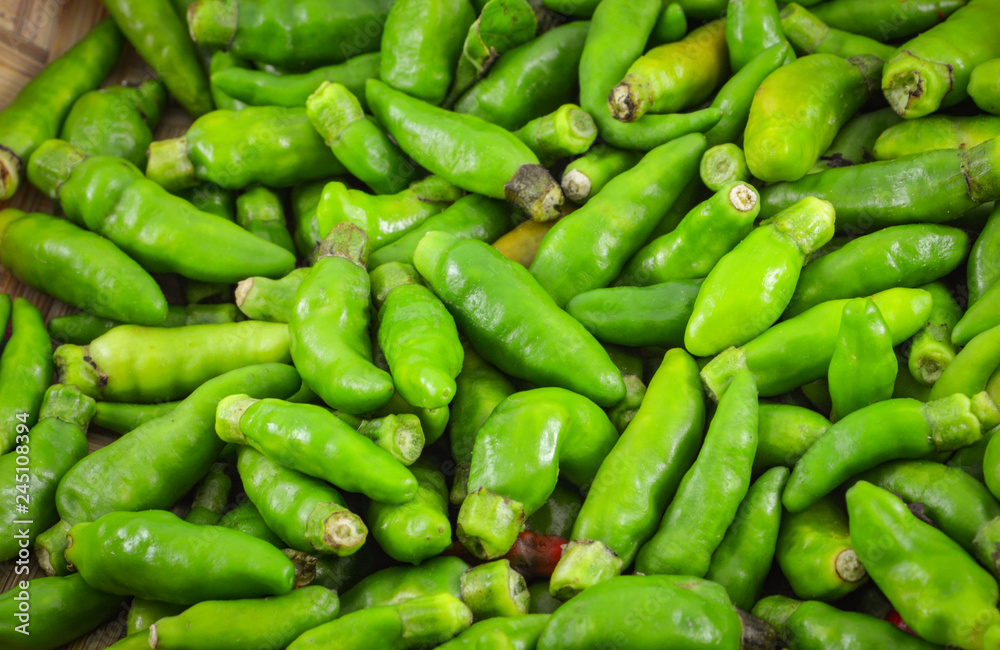 Thai green chilli pepper isolated on white background - other names small chilli padi bird eye chili Thai green chilli pepper isolated on white background - other names small chilli padi bird eye chili