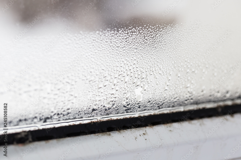 mold on a foggy plastic window of white color.