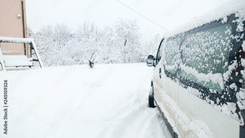 Snowy street. Cars are covered with snow. Fights are all in the snow. Morning after snowfall