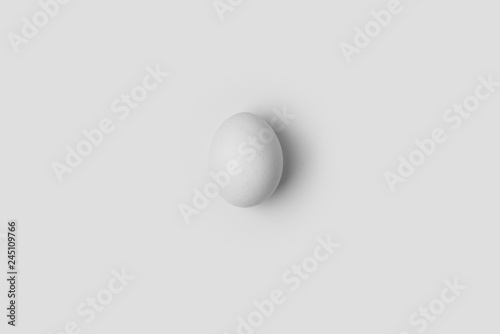 White egg on the white background in center. Design  visual art  minimalism