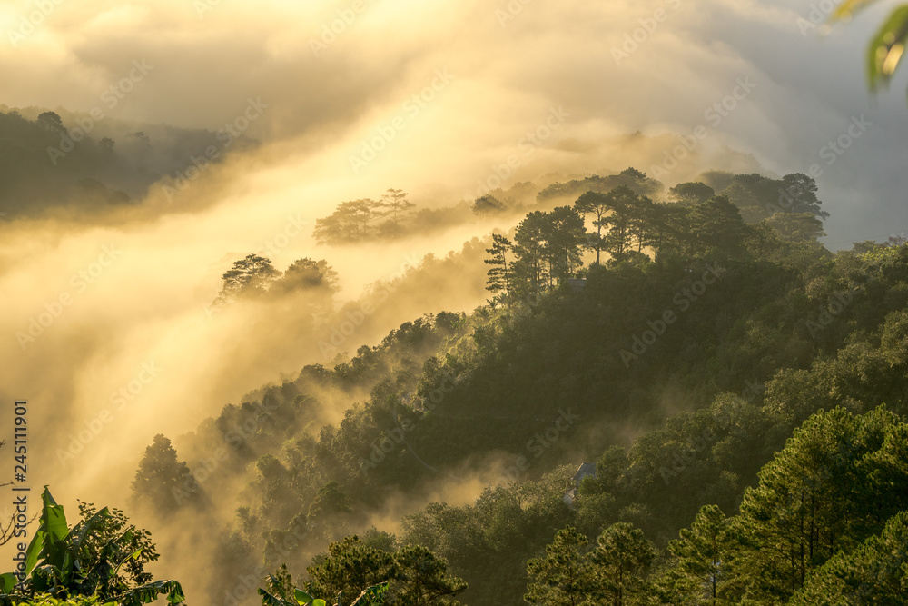 SINGLE AND SUNLIGHT IN THE DON DUONG FOREST, A NEAR TOWN TO THE LAT CITY CITY. THE SINGLE BONUS OF COMMUNICATION AND HOME SINGLE AND SUNLIGHT IN THE DON DUONG FOREST, A NEAR TOWN TO THE LAT CITY CITY. THE SINGLE BONUS OF COMMUNICATION AND HOME