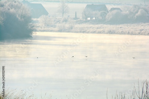Winter Landschaft - Pflanze...