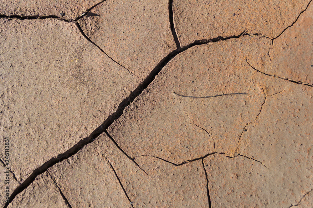 Obraz premium TEXTURE-1