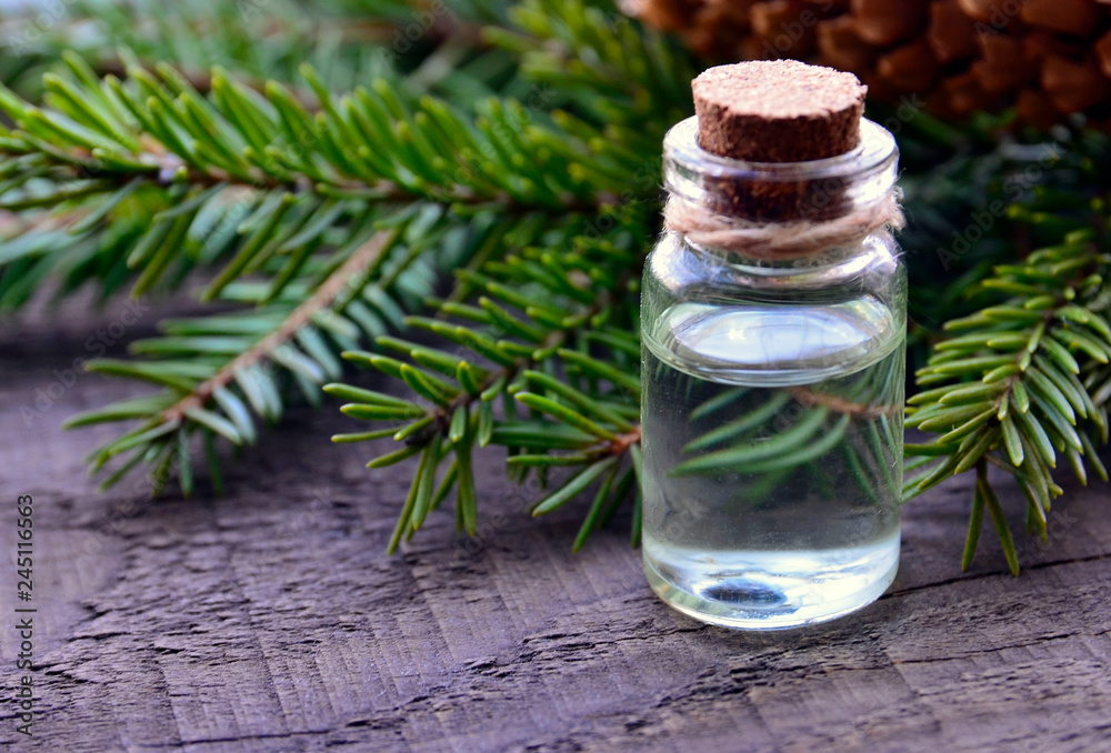 Fir needle essential oil in a glass bottle and green coniferous tree branches with cones.Spruce aroma oil for spa,aromatherapy and bodycare.Selective focus. Fir needle essential oil in a glass bottle and green coniferous tree branches with cones.Spruce aroma oil for spa,aromatherapy and bodycare.Selective focus.