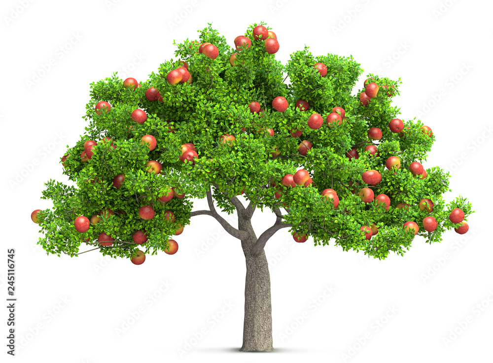 a red apple tree isolated 3D illustration