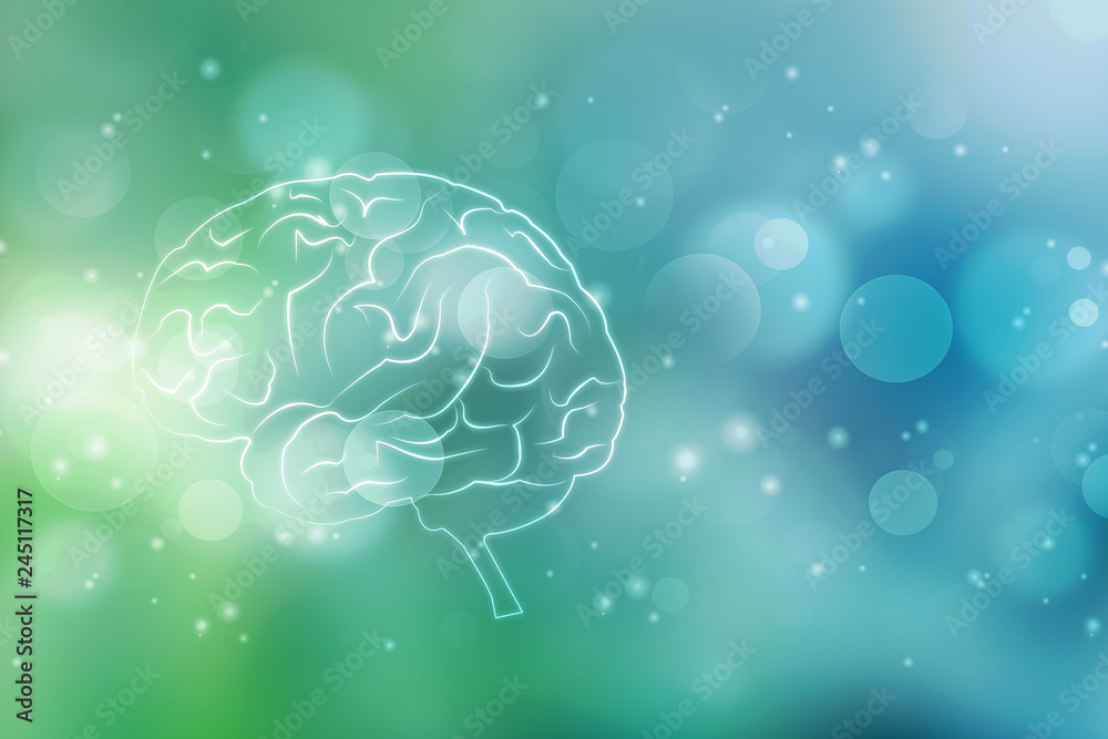 Human brain 2d illustration
Human brain 2d illustration