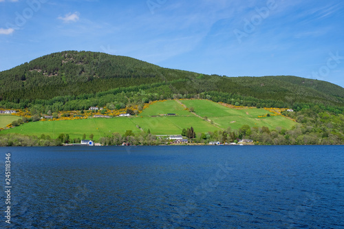 Das h  gelige Ufer des Loch Ness in den schottischen Highlands