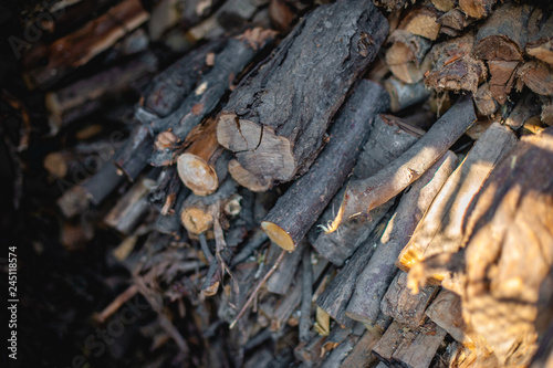 firewood. wood. close-up