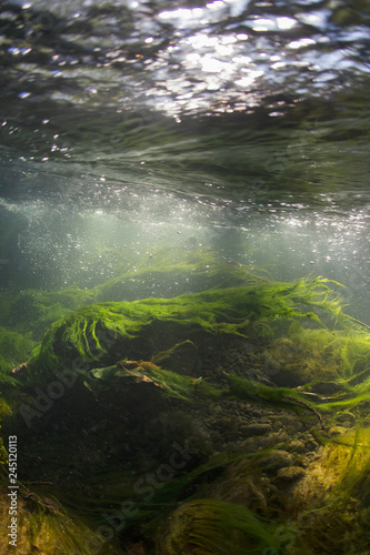 Rocks underwater on riverbed with clear freshwater. River habitat. Underwater landscape. Mountain river. Litle stream with gravel. Underwater scenery, algae, mountain river cleanliness. © Rostislav