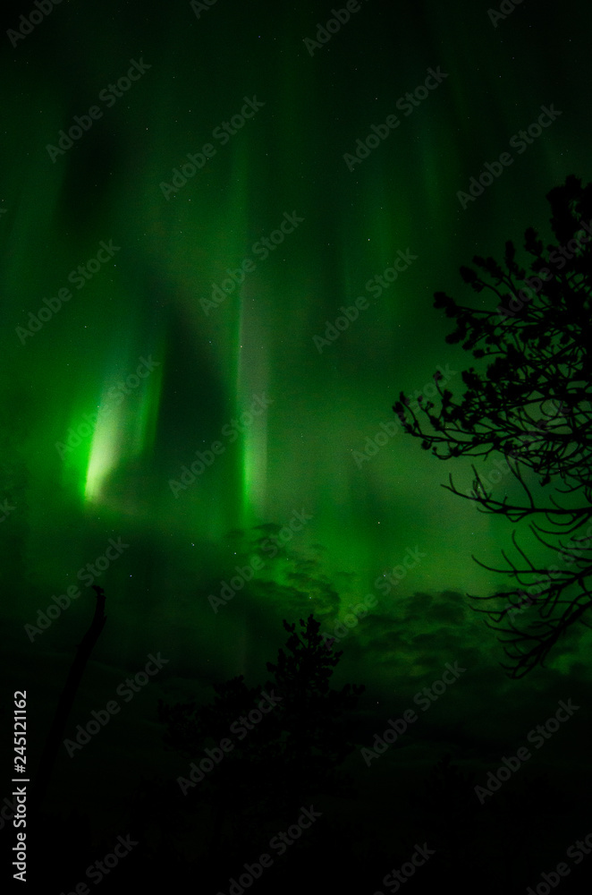 Northern Lights in Central Finland with trees in the foreground