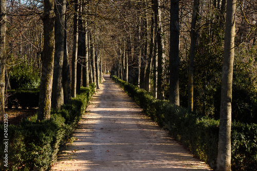 Aranjuez gardens in Spain.