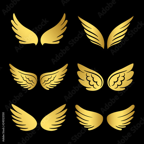 Golden wings vector collection. Angels wings isolated on black background. Illustration of golden angel wing set