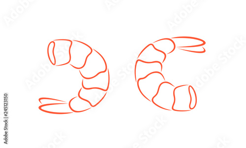 Shrimp outline. Isolated shrimp on white background. Prawns outline