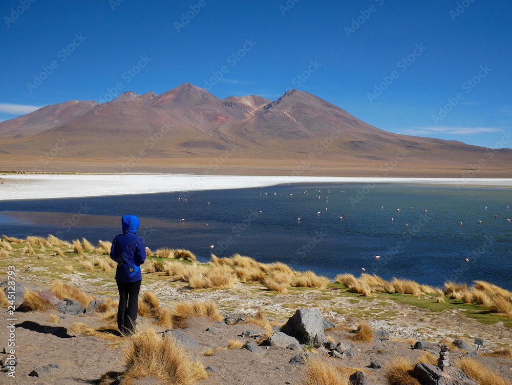 Siloli desert in Bolivia