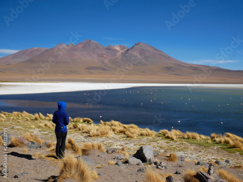Obraz na płótnie Siloli desert in Bolivia w salonie