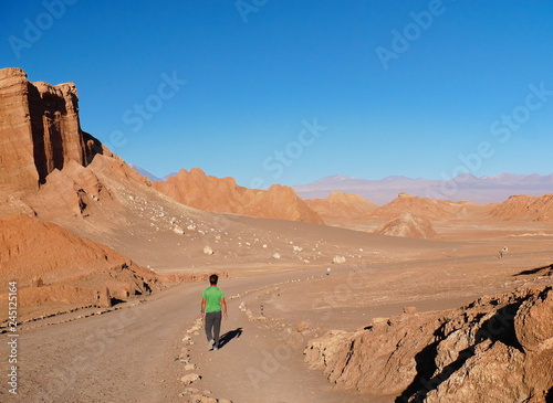 Obraz na płótnie Rock formations in the desert of Atacama w salonie