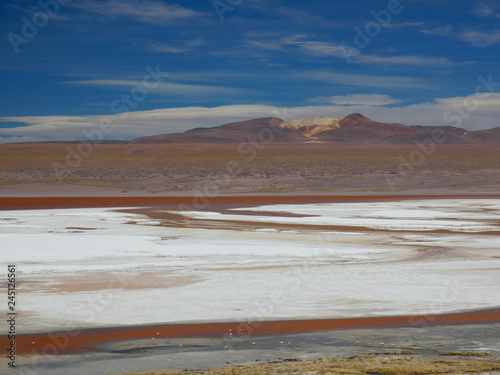 Obraz na płótnie Laguna Colorada, Bolivia w salonie