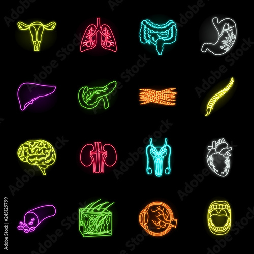 Internal organs of a human neon icons in set collection for design. Anatomy and medicine vector symbol stock web illustration.