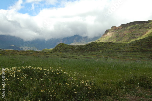 Spring in the mountains of Gran Canaria