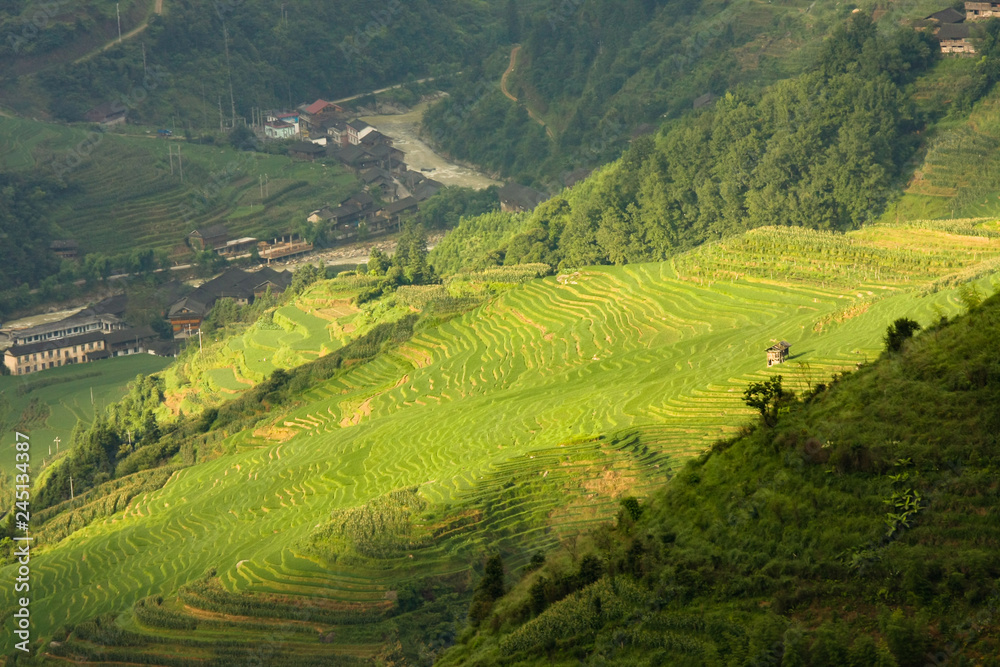 Longsheng rice terraces landscape in Guilin China